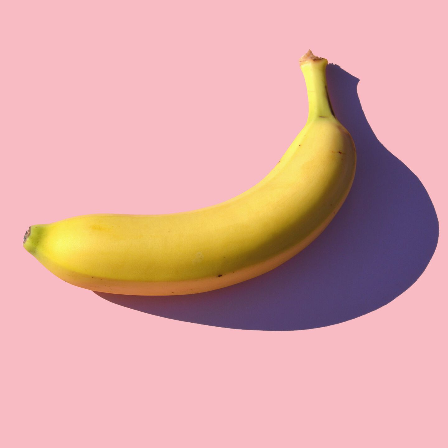 <b>CAN DOGS EAT BANANAS?</b><br><br>Learn if it&rsquo;s wise to feed your pooch bananas and if they&rsquo;re good for them&hellip;</br>